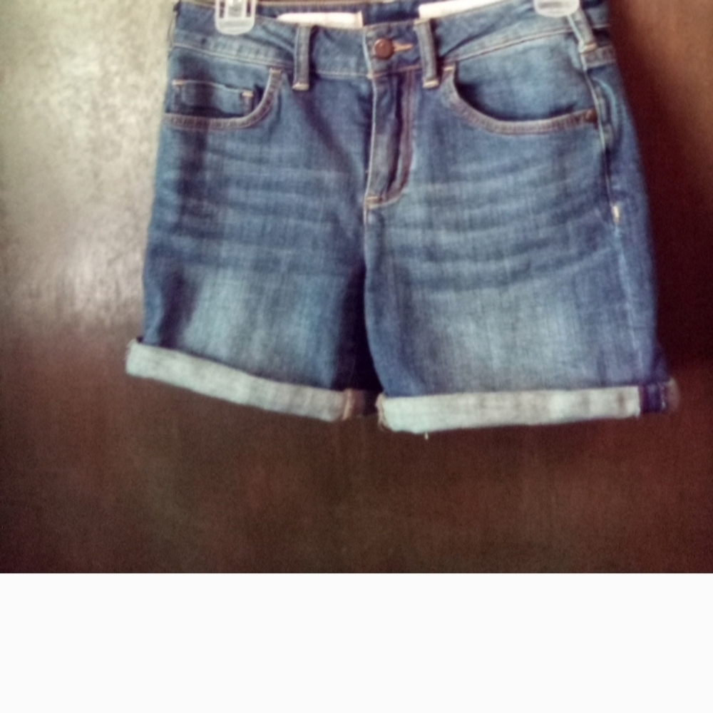 Pilcro and the Letterpress High Rise Denim Blue Women's Shorts